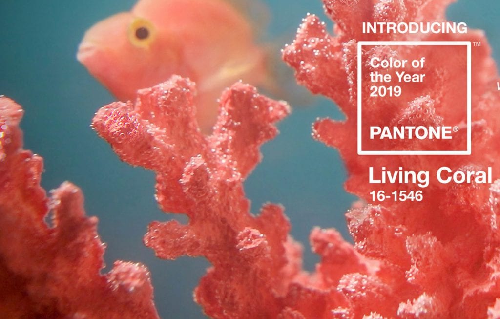 Pantone Color of the Year 2019: Living Coral | Styl-Blog | Stylinc