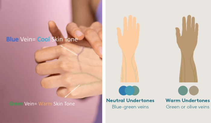 How to Determine Your Skin Tone and What Colours Suit You - Styl Inc