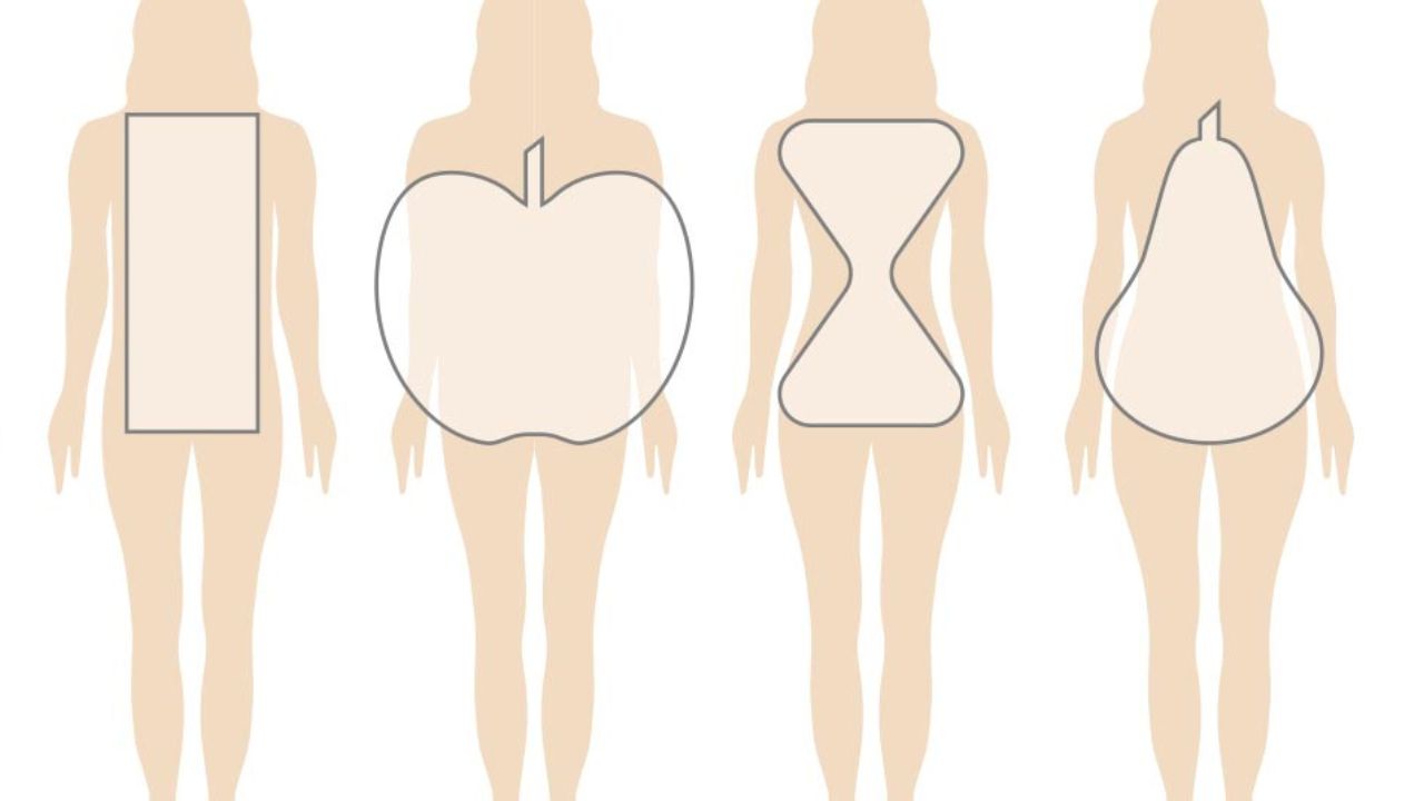 Different body types 